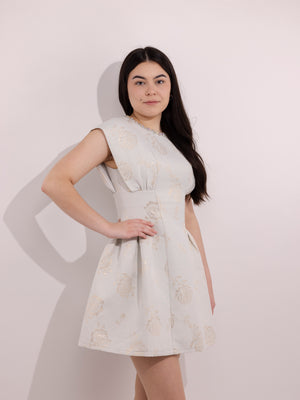 BeReal dress, brocade dress , party wear , formal dress