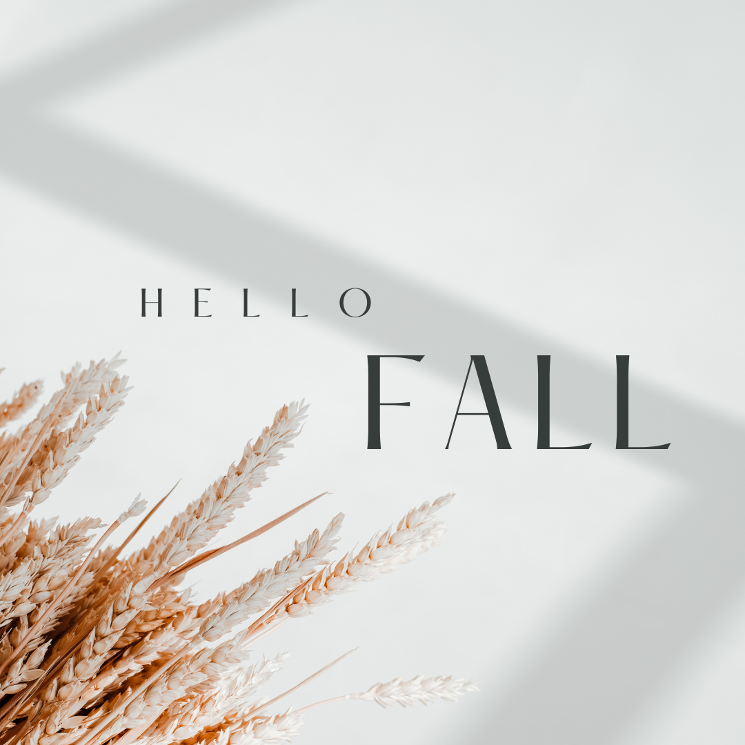 BeReal blog, BeReal UK, Fall blog, mindful practices for a calm and balanced fall